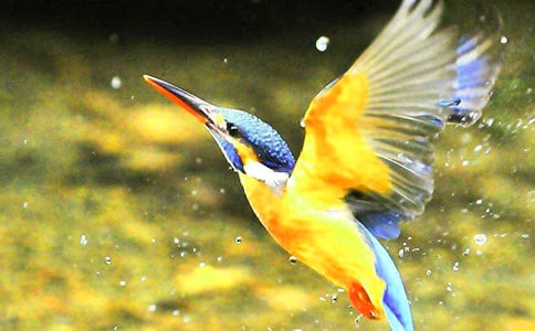 �P(gu��n)�ڡ����B(ni��o)���ă�(y��u)��̰��O(sh��)Ӌ(j��)