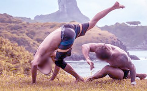 公雞打架400字作文-公雞打架小學(xué)生作文