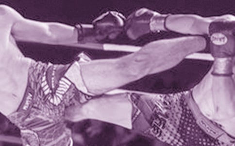 為什么兩只老虎打架,非要拼個你死我活絕不罷休?