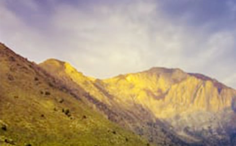 ��ɽ���ģ�ͨ��26ƪ��