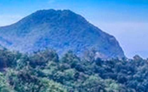 ��׃��׌�ҷ�Խ��ɽ����