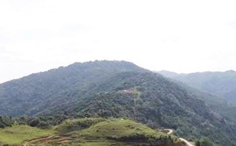 我心中的那一座大山作文