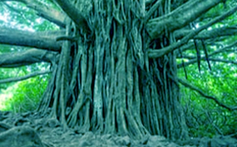 ���(sh��)����300��[�ϼ�]