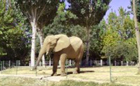 ���Ԟ��ǵĴ�������