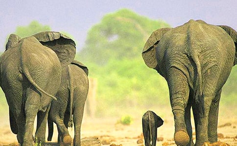 ��������꼉�ƌW�Խ̰�������Ԫ�B(y��ng)��С���~