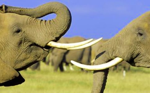 �c�������P(gu��n)�����g(sh��)�̰����x