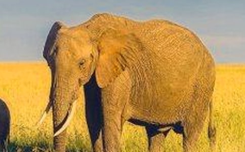 ���õĴ��������300��