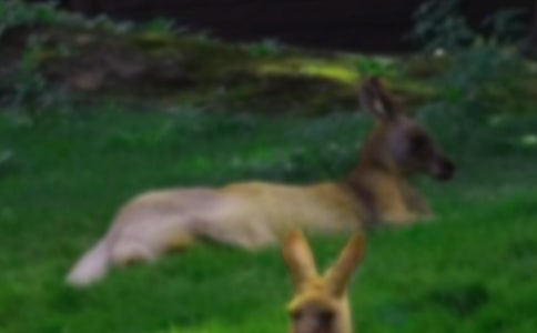 ����w�����(d��ng)��������εĽ̰�