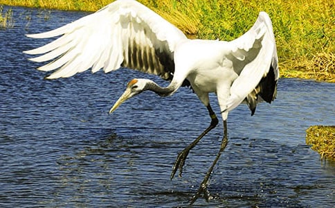 �������ĵ���Q���̌W(xu��)��˼