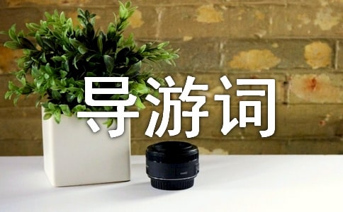 �������Ϫ��(d��o)���~