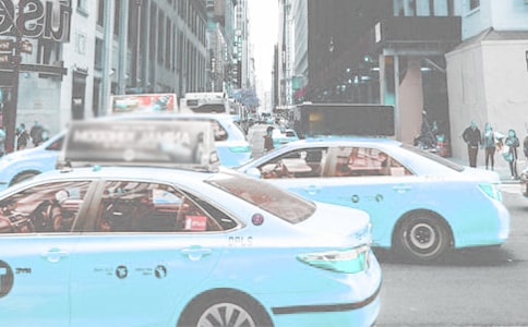 ���������ʿ�c�ƌW(xu��)