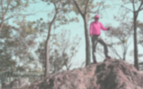 登山的日記15篇