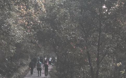 �P(gu��n)�ڵ�ɽ����ӛ7ƪ