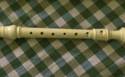 關于學笛子的小學生作文450字