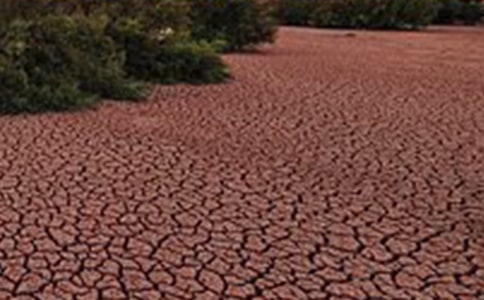 《地球在呻吟》讀后感