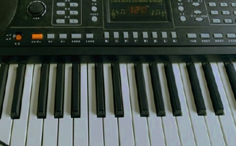 學(xué)電子琴小學(xué)作文