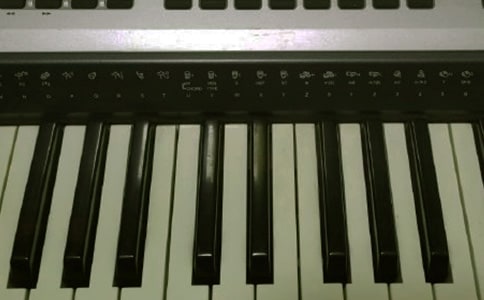 �W(xu��)�����������