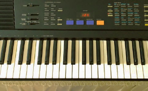 �W���������