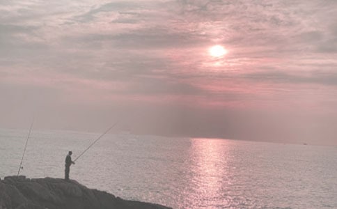 ����~�Ć�ʾ���̰��c�f�n��