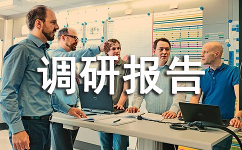 家訪調(diào)研報(bào)告