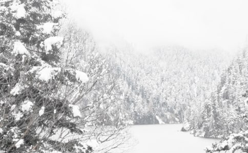 ������ͨ��ȫ�¼��L(zh��ng)��һ����10ƪ