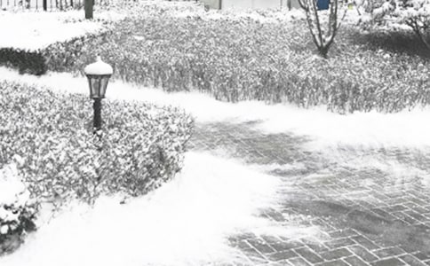 實用的冬季作文600字