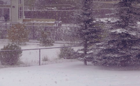 【精品】冬日日記四篇