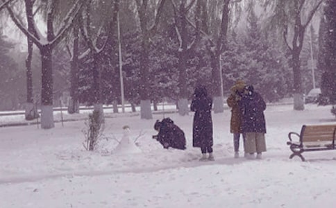 ����ů�(y��ng)����(��(sh��)��15ƪ)