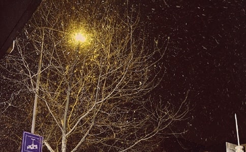 觀察冬天景色日記300字