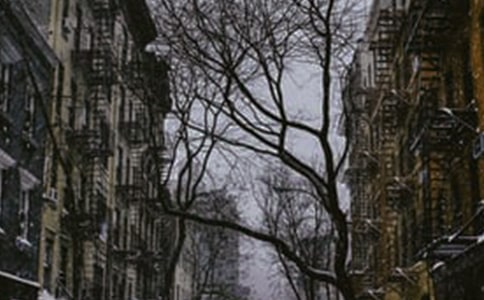 小班藝術(shù)冬天的樹教案