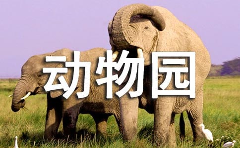 去動物園的作文550字