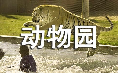 去動物園優(yōu)秀作文