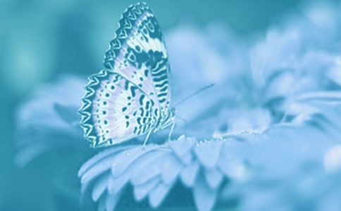 ��(d��ng)ֲ���^������10ƪ