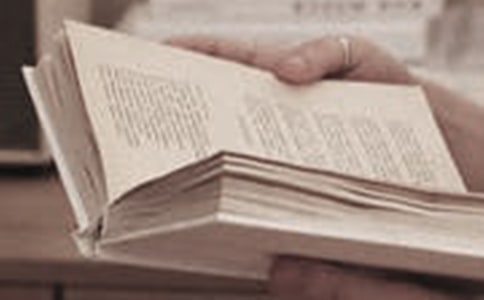 小學生讀書會活動方案策劃作文