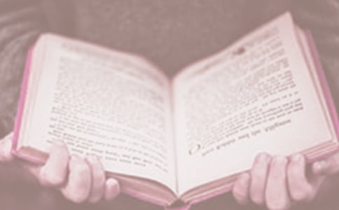 關(guān)于世界讀書日活動方案(精選12篇)