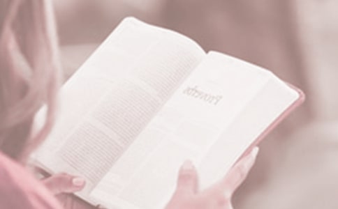 最新世界讀書日活動(dòng)策劃方案