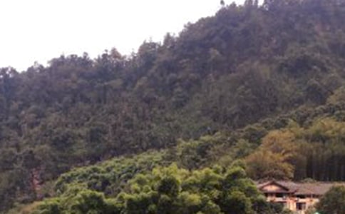 ��üɽ֮������