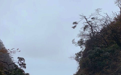 �Ĵ���üɽ���̵Č�(d��o)���~