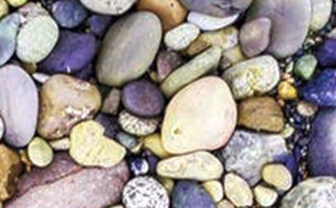 我和鵝卵石交朋友幼兒園大班健康教案