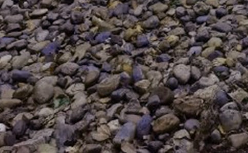 �����Z��ʯ����