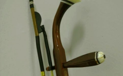 二胡優(yōu)秀作文600字(通用42篇)