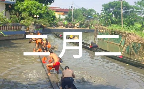 二月二祝福語(精選1000句)