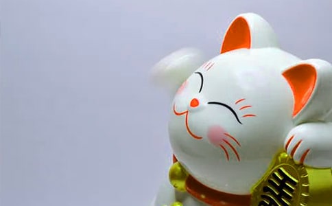 �l(f��)ؔ����B(y��ng)ֳ������ע�����