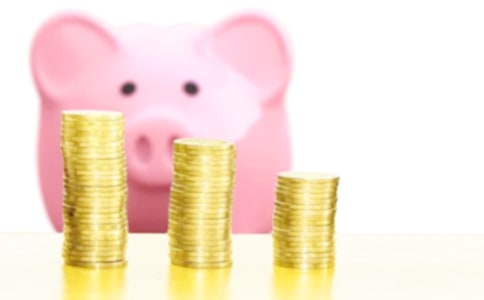 實(shí)用的發(fā)財(cái)樹(shù)作文四篇