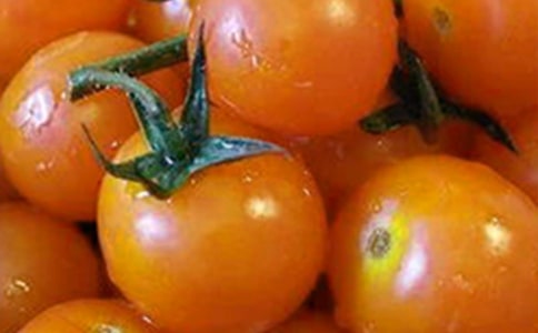 ���ѳ�����ô���ó������ѳ����������c����