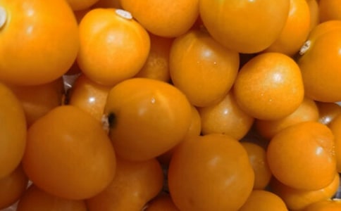 番茄紅了小班教案