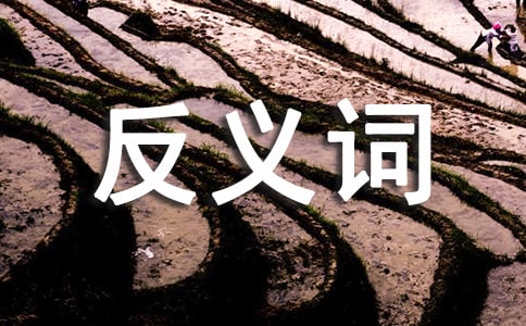 麻煩的反義詞_麻煩的近義詞