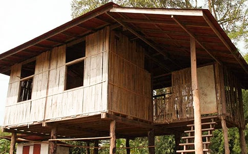 大班美術(shù)房子的周圍教案7篇