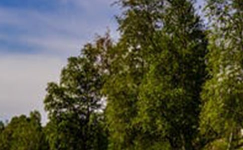 齊云山風景區(qū)導游詞1000字