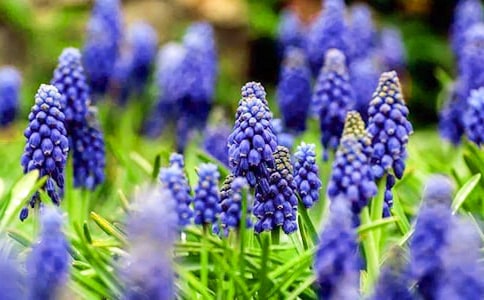 �L(f��ng)����-����